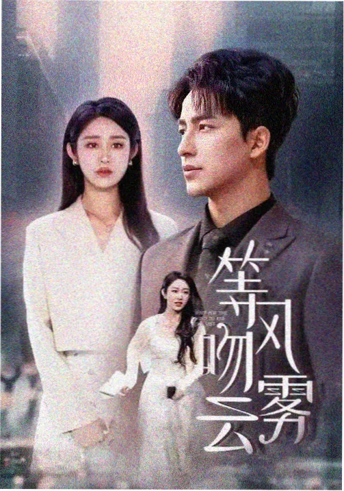 免费观看电视剧 - 边水往事